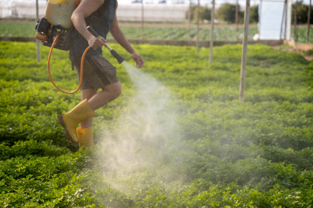 Best Wildlife Control Services  in Martin, SD