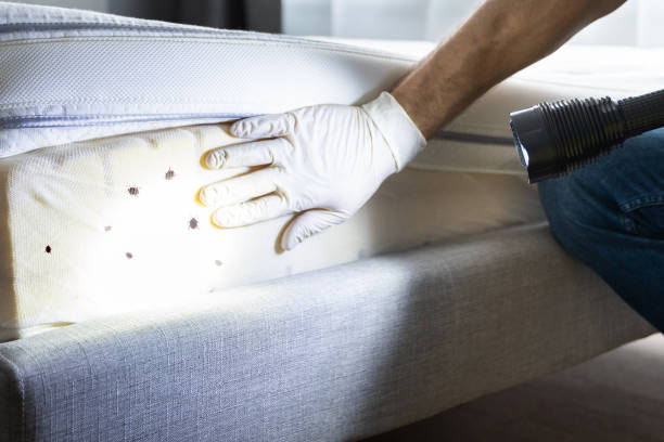 Best Pest Removal Services  in Martin, SD