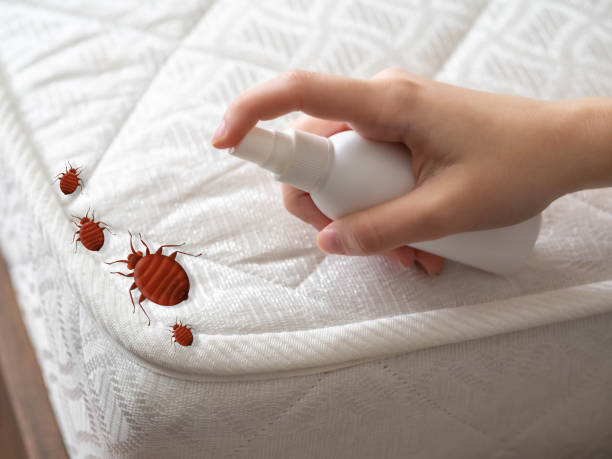 Best Best Pest Control Companies  in Martin, SD