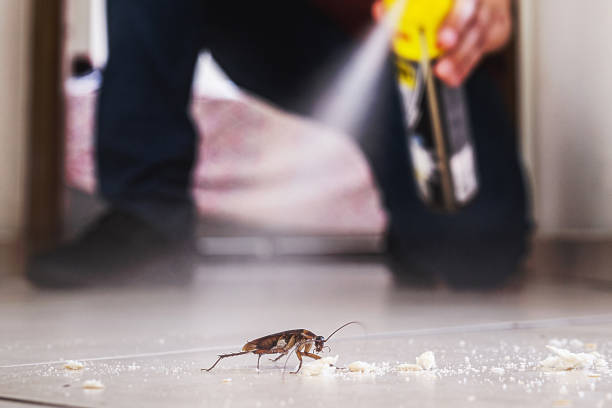 Best Emergency Pest Control  in Martin, SD